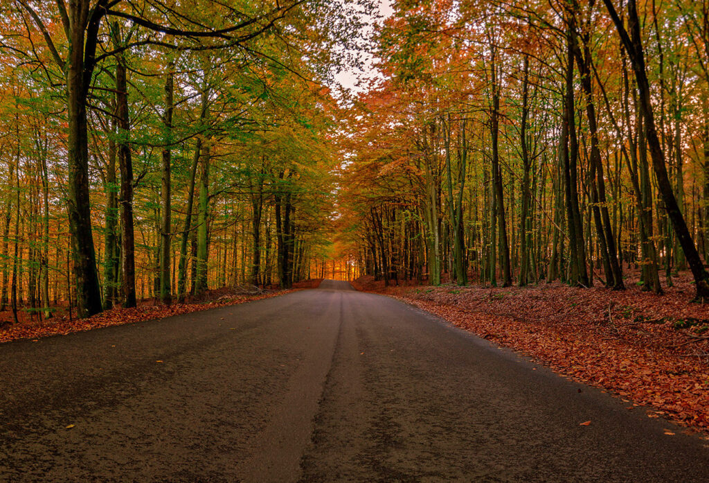 Urban | Professional Photographer in Dubai Urban | Professional Photographer in Dubai