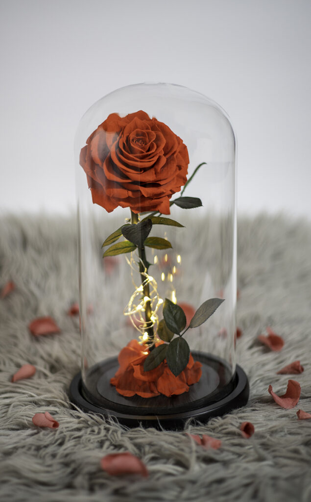 Products | Professional Photographer in Dubai Products | Professional Photographer in Dubai