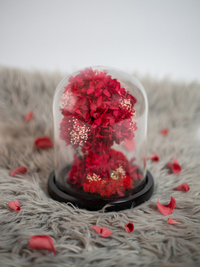 Products | Professional Photographer in Dubai Products | Professional Photographer in Dubai