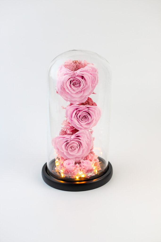 Products | Professional Photographer in Dubai Products | Professional Photographer in Dubai