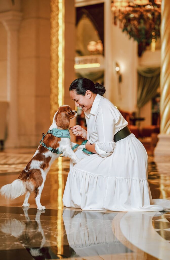 Book the Best photographers in UAE | Professional Photographer in Dubai